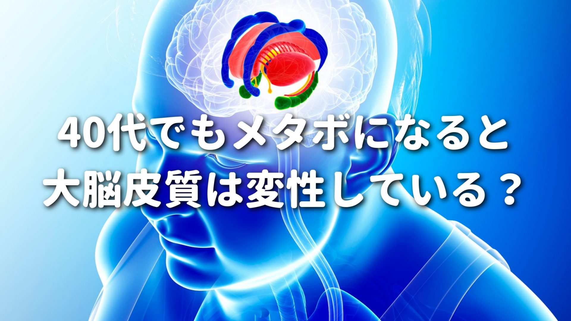 40代でもメタボになると大脳皮質は変性している？